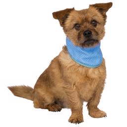 Trixie Kylande Bandana För Hunden i Blå